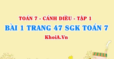 Bài 1 trang 47 SGK Toán 7 tập 1 Cánh Diều